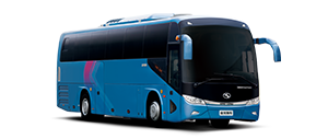 XMQ6113Y